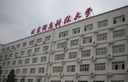 青春奉献，科技赋能——记北京信息科技大学青年志愿者协会的信息技术咨询志愿服务